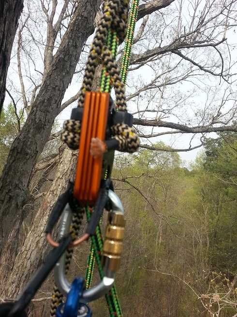 SRT Tree Climbing Kit: Everything You Need to Get Started Climbing