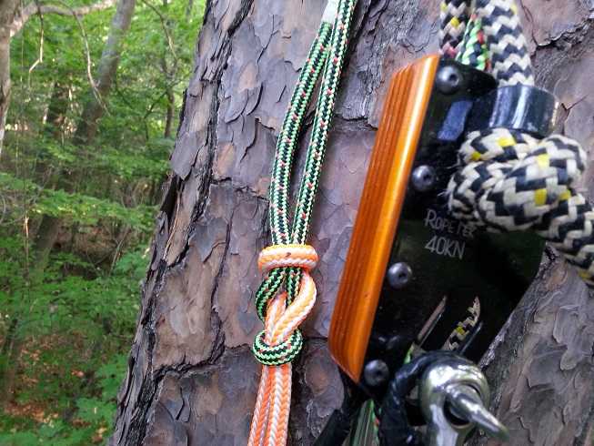 Gri-gri rappel backup? - Page 2 - Tree Climbers International Forum - Tree  Climbers International