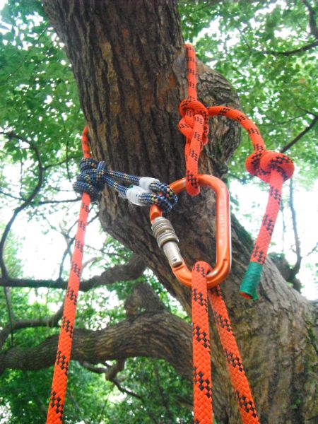 set up for foot assisted DRT with MB 3 - Tree Climbers